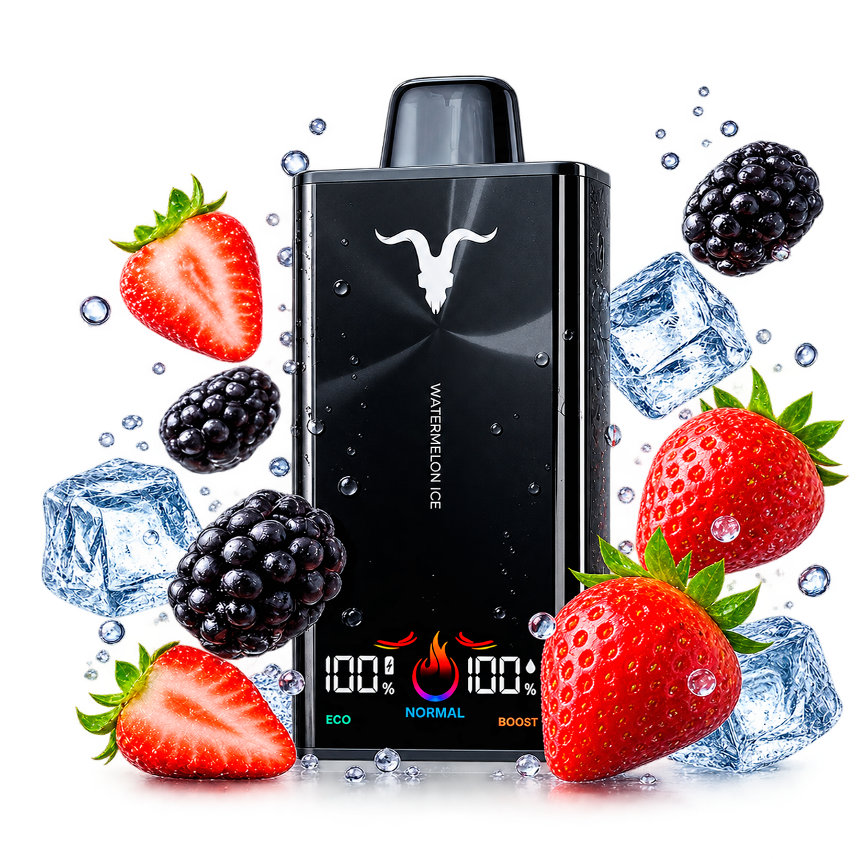 Ignite V300